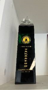 省直优秀青年律师